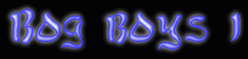 bogboys1.gif